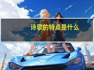 诗歌的特点是什么
