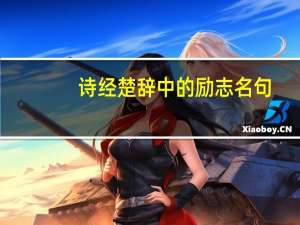 诗经楚辞中的励志名句