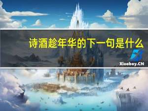 诗酒趁年华的下一句是什么