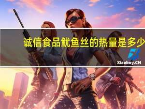 诚信食品 鱿鱼丝的热量是多少