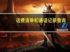 话费清单和通话记录查询（话费清单）