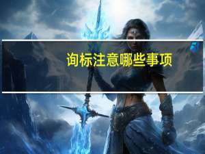 询标注意哪些事项