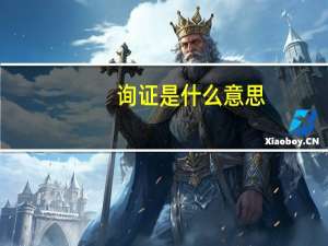 询证是什么意思