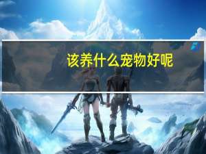 该养什么宠物好呢