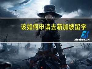 该如何申请去新加坡留学
