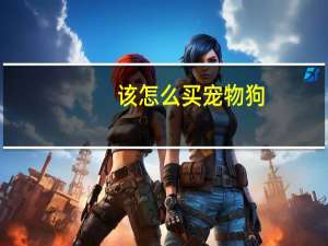 该怎么买宠物狗