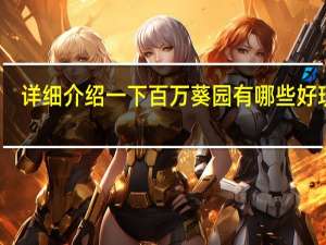 详细介绍一下百万葵园有哪些好玩的