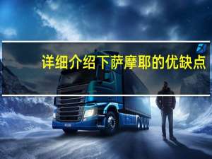 详细介绍下萨摩耶的优缺点