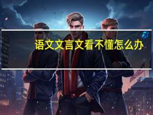 语文文言文看不懂怎么办