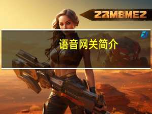 语音网关简介