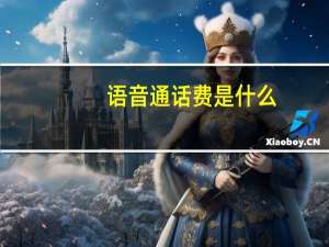 语音通话费是什么