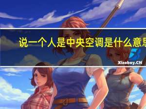 说一个人是中央空调是什么意思