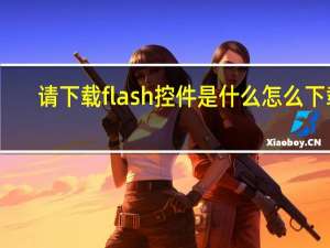 请下载flash控件是什么怎么下载（下载flash控件）