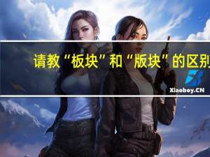 请教“板块”和“版块”的区别