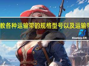 请教各种运输带的规格型号以及运输带的价格
