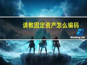 请教固定资产怎么编码