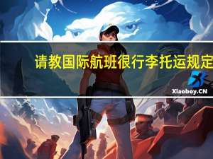 请教国际航班很行李托运规定