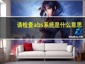 请检查abs系统是什么意思