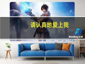 请认真地爱上我