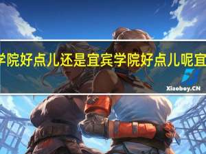 请问内江师范学院好点儿还是宜宾学院好点儿呢 宜宾学院教师教育学院