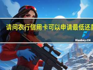 请问农行信用卡可以申请最低还款吗