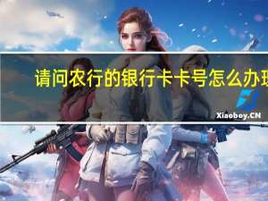 请问农行的银行卡卡号怎么办理