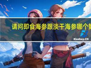 请问即食海参跟淡干海参哪个好