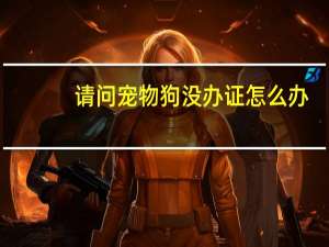 请问宠物狗没办证怎么办