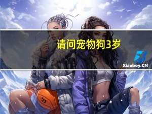 请问宠物狗3岁