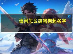 请问怎么给狗狗起名字