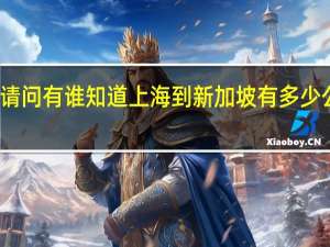 请问有谁知道上海到新加坡有多少公里吗