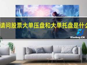 请问股票大单压盘和大单托盘是什么意思