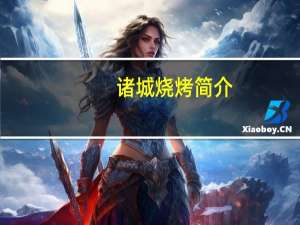 诸城烧烤简介