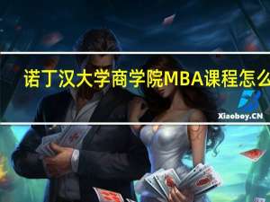 诺丁汉大学商学院MBA课程怎么样