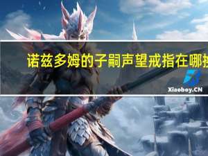 诺兹多姆的子嗣声望戒指在哪换（诺兹多姆）