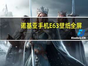 诺基亚手机E63壁纸全屏（诺基亚手机e63）