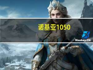 诺基亚1050（诺基亚1050能上网吗如果能,具体应该怎么操作）