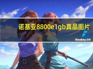 诺基亚8800e1gb真品图片（诺基亚8800GoldArte简介）