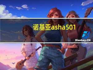 诺基亚asha 501（诺基亚asha501）