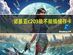 诺基亚c203能不能插储存卡（诺基亚c203）