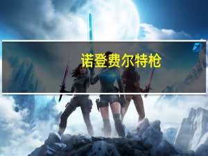 诺登费尔特枪