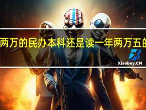 读一年两万的民办本科还是读一年两万五的中外合作好