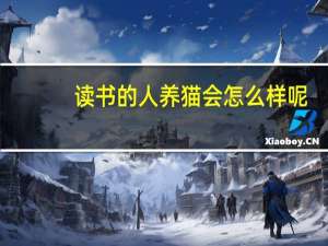 读书的人养猫会怎么样呢