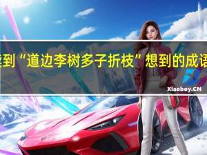 读到“道边李树多子折枝”想到的成语是什么