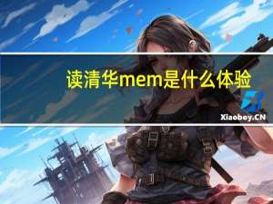 读清华mem是什么体验