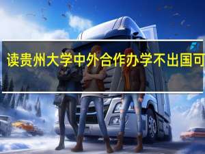 读贵州大学中外合作办学不出国可以吗