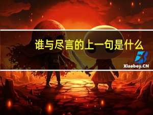 谁与尽言的上一句是什么