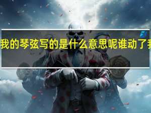 谁动了我的琴弦写的是什么意思呢 谁动了我的琴弦歌词