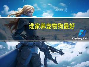 谁家养宠物狗最好