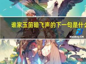 谁家玉笛暗飞声的下一句是什么